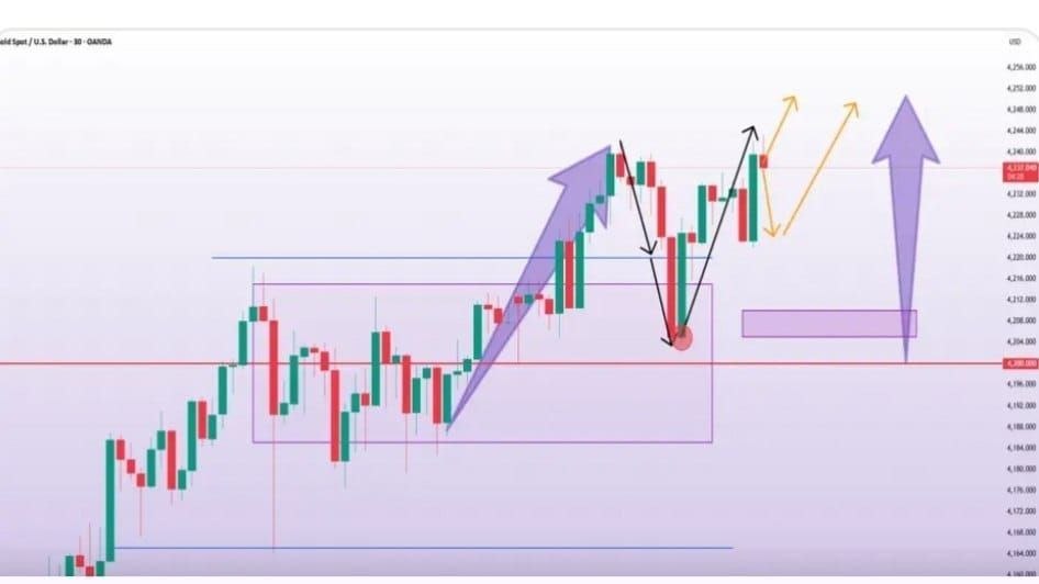 𝗚𝗢𝗟𝗗 𝗩𝗜𝗣 𝗦𝗜𝗚𝗡𝗔𝗟🤑