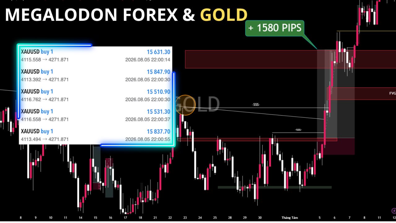 MegaLodon GOLD & FOREX