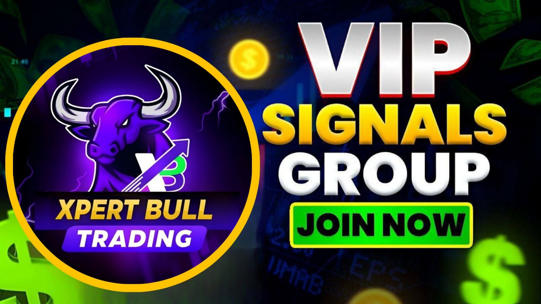 Nifty Option Trader 📈🥇💸