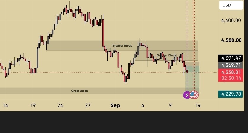 THE LEGEND TRADER