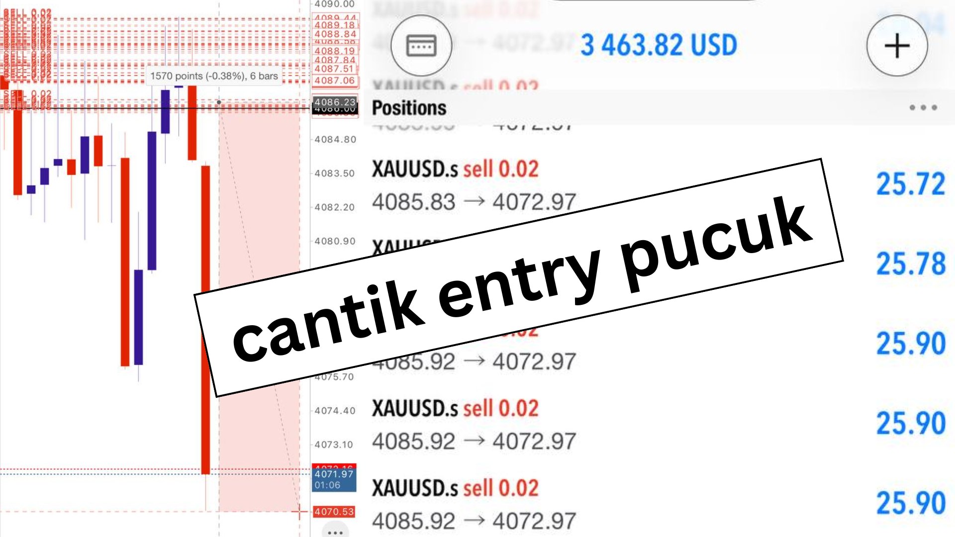 Along Gold Scalper