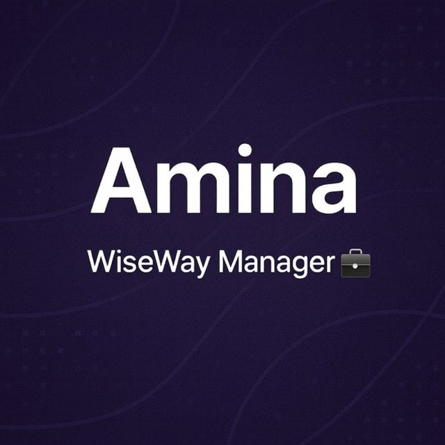@wisewayamina
