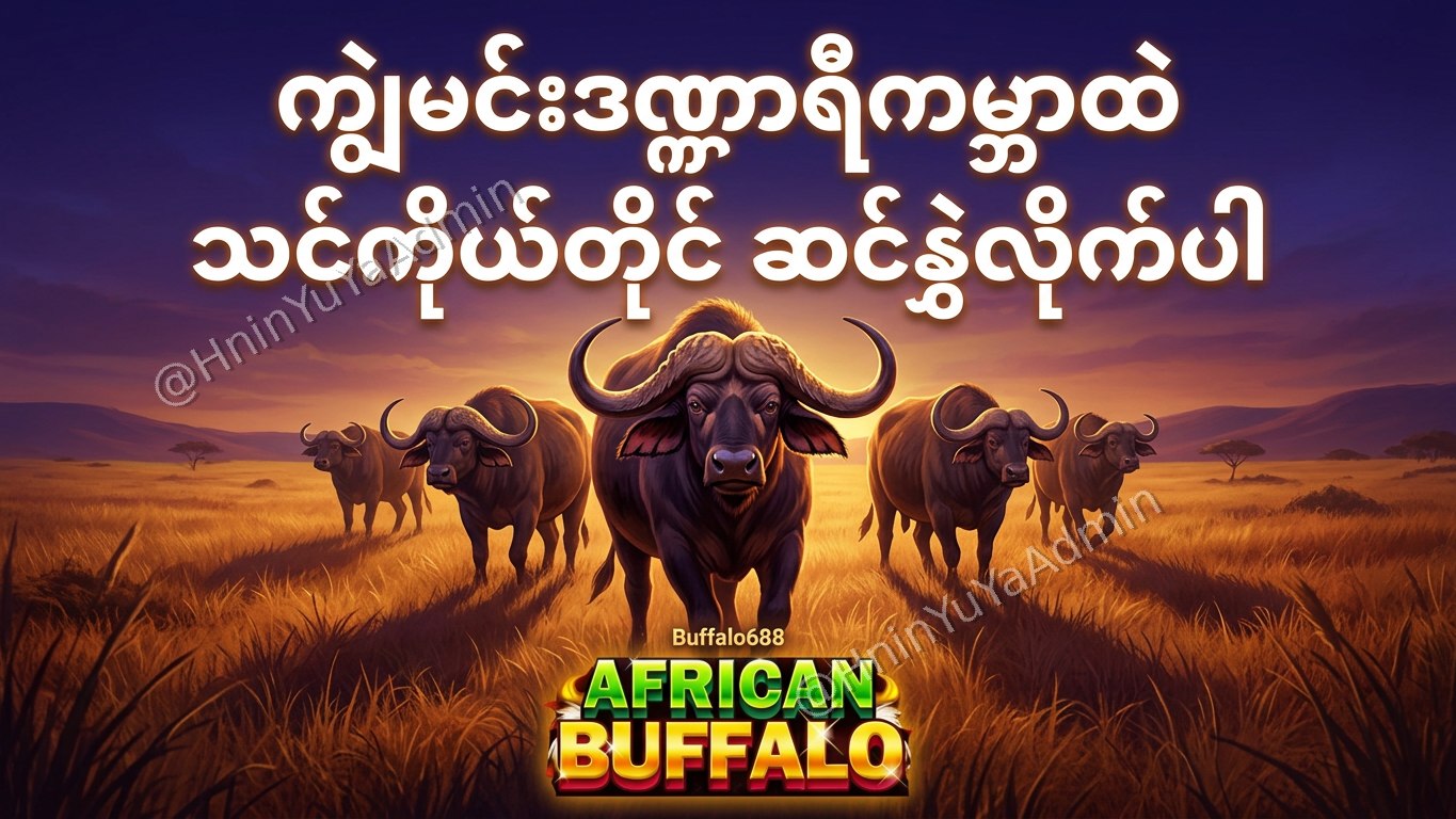 ကျွဲဂိမ်းအစစ် Buffalo688 ၊ကျွဲဘုရင် ၊ရှမ်းကိုးမီး၊ဘူကြီး