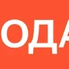 🎁