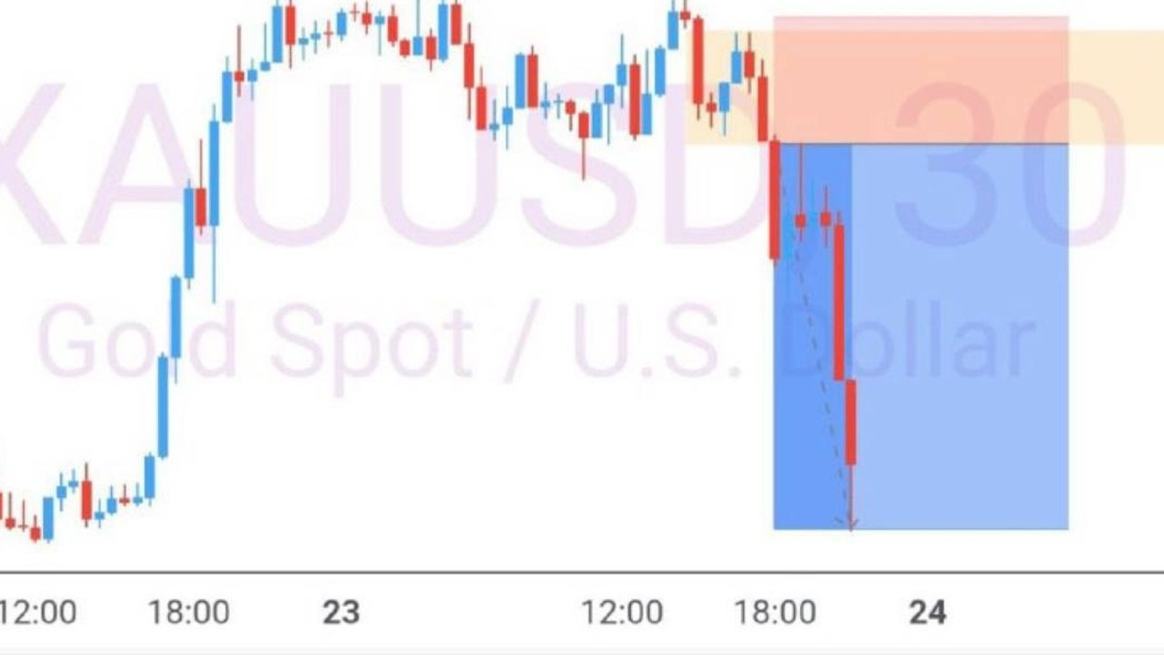 Pips empire trades