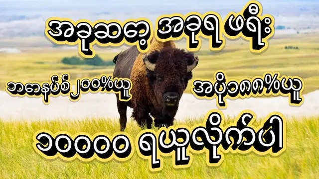 ⏰ ကျွဲဂိမ်း - နော်ဖူးဝေ 24 နာရီဝန်ဆောင်မှု