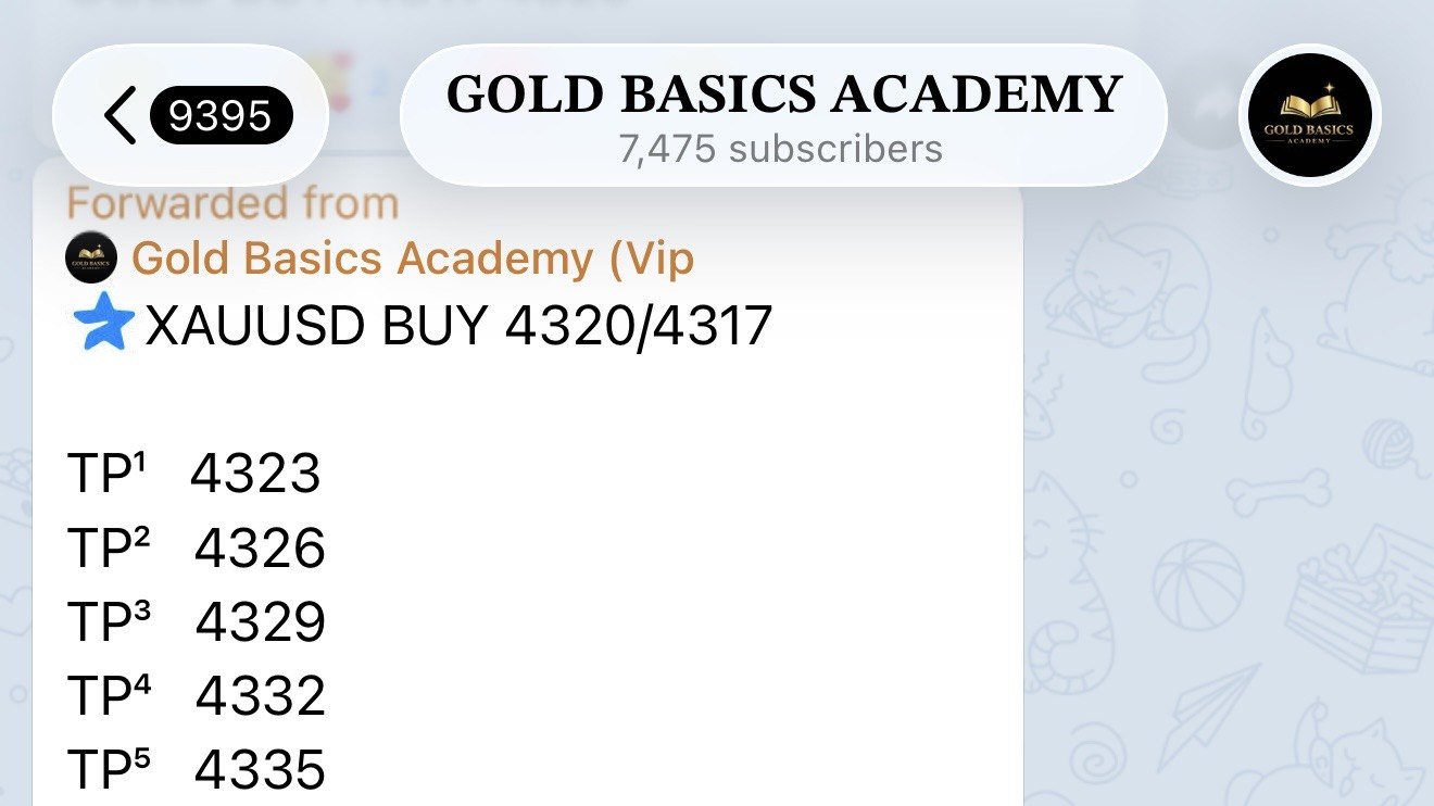 THE_TRADING_ZONE.forex