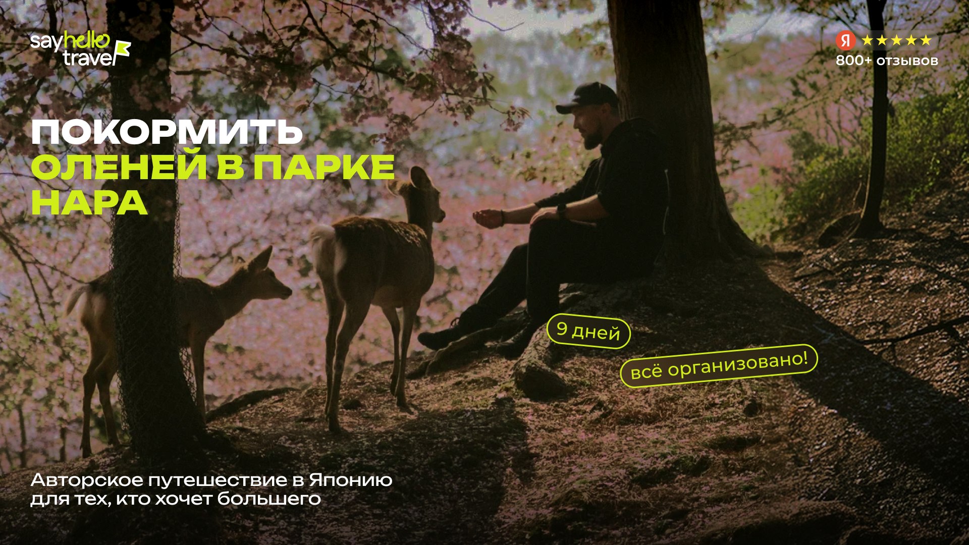 SayHelloTravel – Авторские путешествия для счастливых людей
