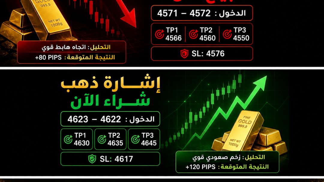ألفا فوركسيا