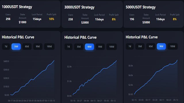 Bitcoin Focus