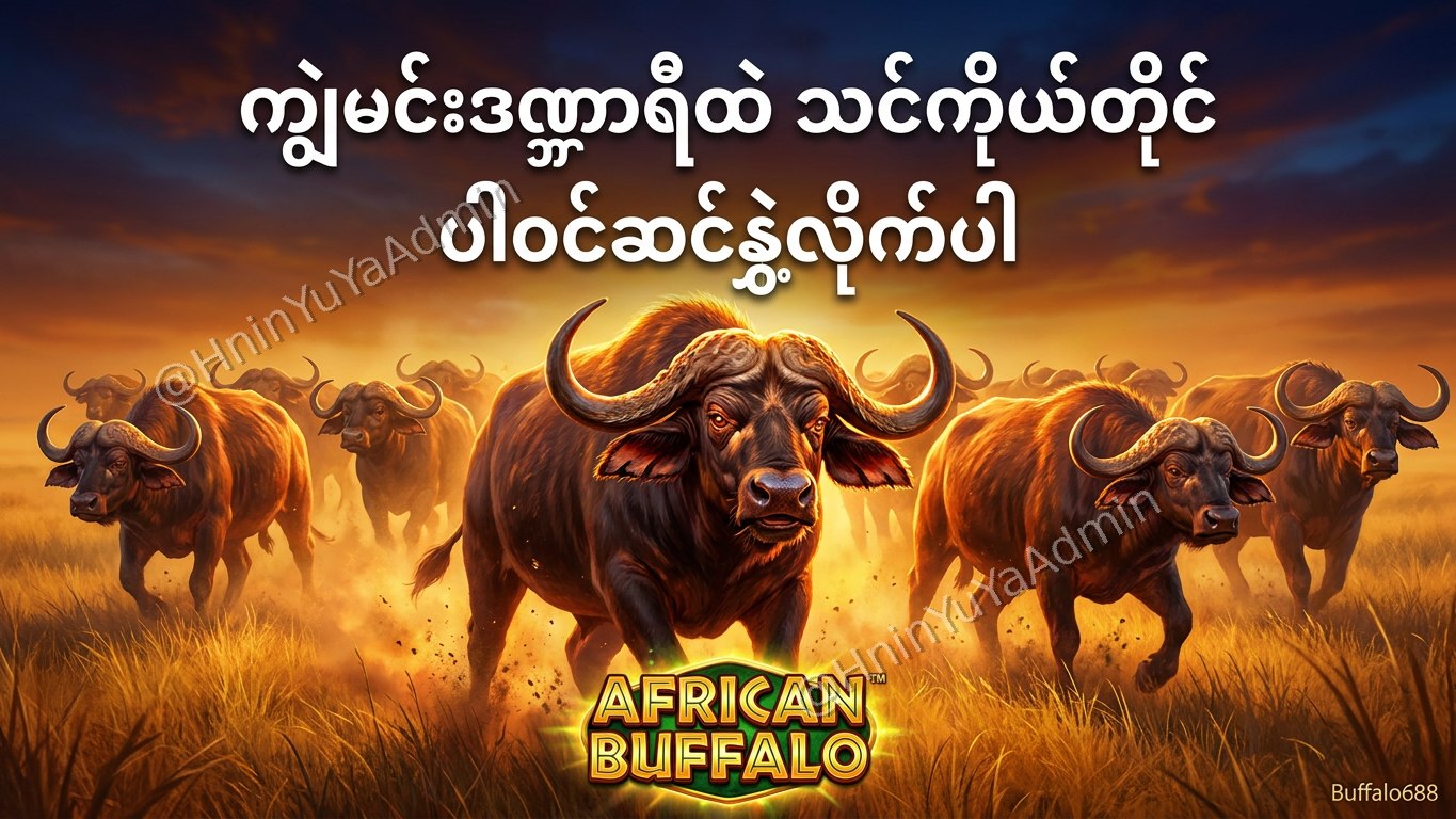 ကျွဲဂိမ်းအစစ် Buffalo688 ၊ကျွဲဘုရင် ၊ရှမ်းကိုးမီး၊ဘူကြီး