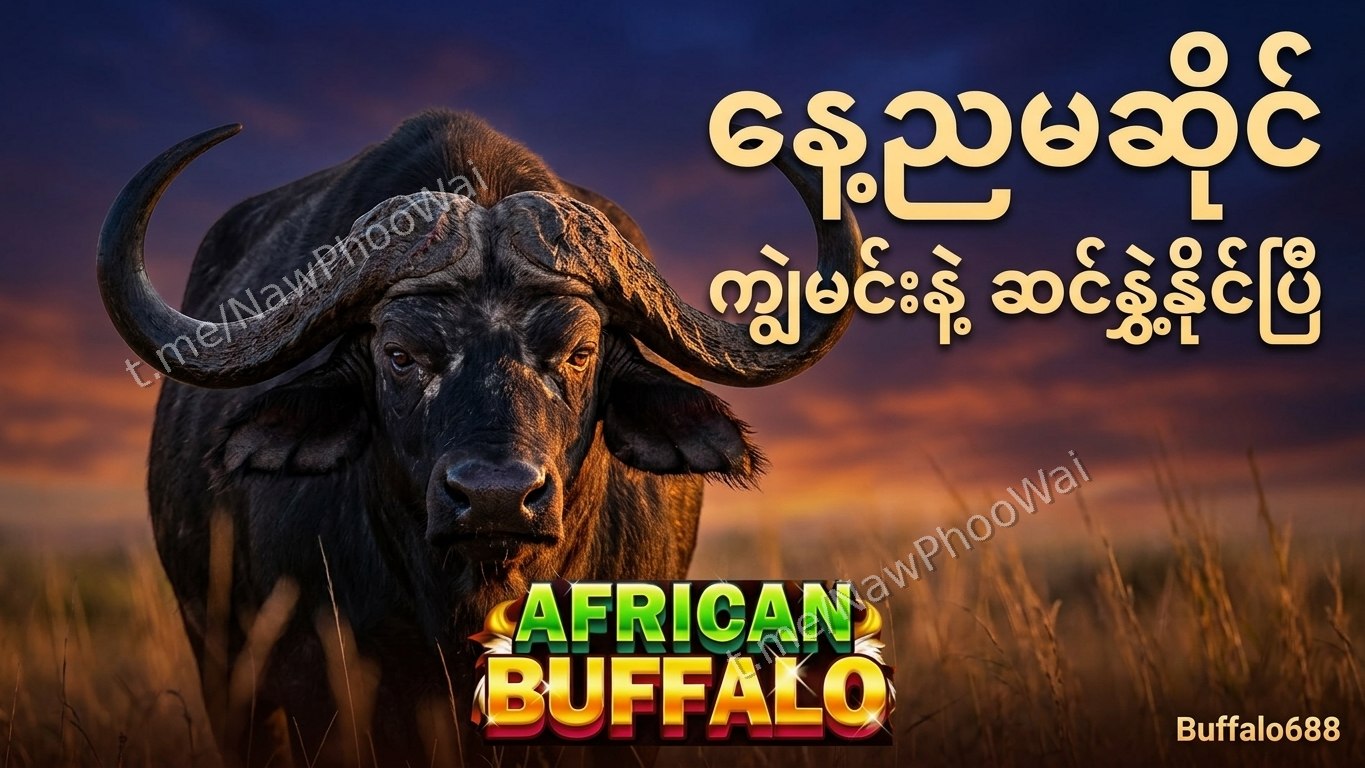 ⏰ ကျွဲဂိမ်း - နော်ဖူးဝေ 24 နာရီဝန်ဆောင်မှု
